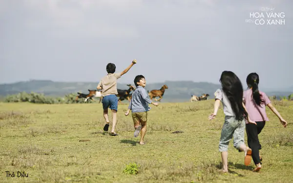 Đi tìm những khoảng lặng giữa đời thực: Khi điện ảnh trở thành liệu pháp "chữa lành" cho tâm hồn