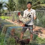 Võ Đức Nhi